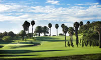 las palmas golf course